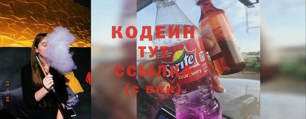 ГАЛЛЮЦИНОГЕННЫЕ ГРИБЫ Тайга