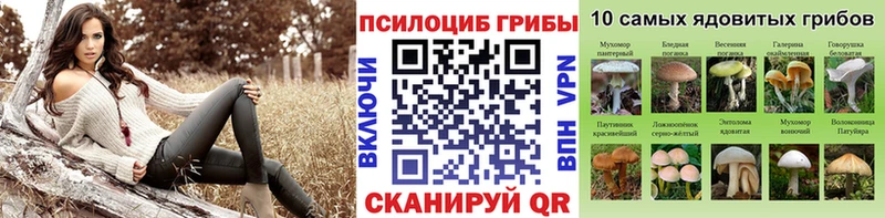 купить наркотики цена  Назарово  Галлюциногенные грибы MAGIC MUSHROOMS 